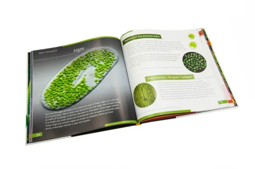 foto neviditelný svět. Vzdělávací publikace. Pevná vazba,  3