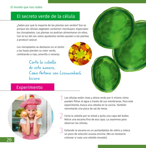 obrázek mikroskop se vzdělávací publikací Levenhuk Discovery Micro,  7