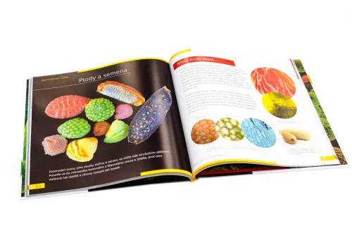 foto neviditelný svět. Vzdělávací publikace. Pevná vazba,  10