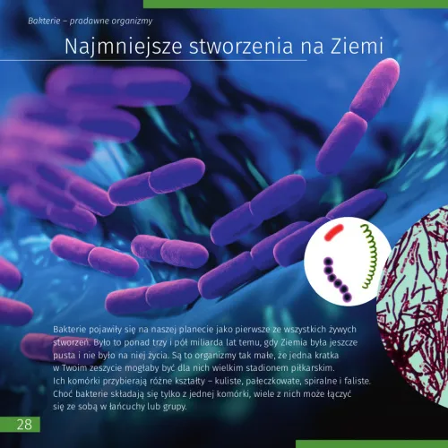 foto neviditelný svět. Vzdělávací publikace. Pevná vazba,  9