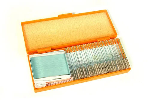 obrázek sada preparátů připravených k pozorování mikroskopem Levenhuk N38 NG,  2