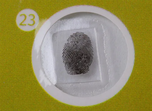 snímek sada hotových rostlinných preparátů Levenhuk LabZZ P12,  7