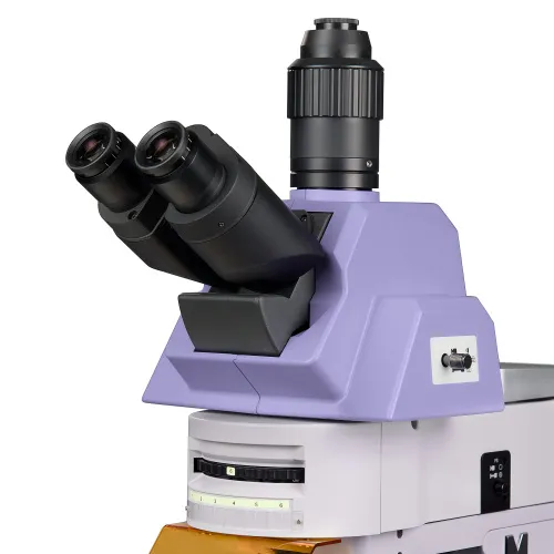 snímek fluorescenční mikroskop MAGUS Lum 490L,  10