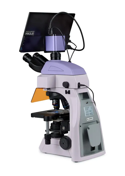 snímek fluorescenční digitální mikroskop MAGUS Lum D450L LCD,  5