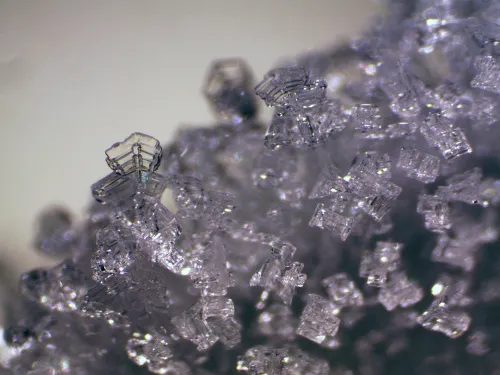 obrázek stereomikroskop Bresser Erudit ICD,  11