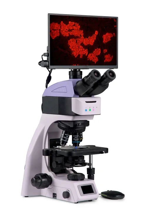 fotografie fluorescenční digitální mikroskop MAGUS Lum D460L LCD,  3