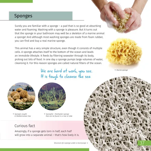 obrázek vesmír. Mikrosvět (dvousvazková edice). Pevná vazba,  11