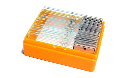 snímek sada preparátů připravených k pozorování mikroskopem Levenhuk N18 NG,  5