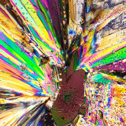 obrázek sada polarizátoru a analyzátoru MAGUS SPD1,  3