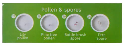 snímek sada hotových rostlinných preparátů Levenhuk LabZZ P12,  3