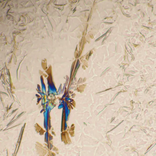 foto biologický mikroskop MAGUS Bio 290T,  25