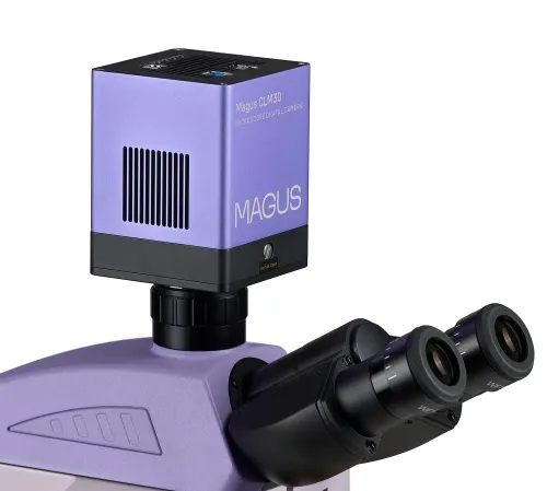 snímek fluorescenční digitální mikroskop MAGUS Lum D450L,  21