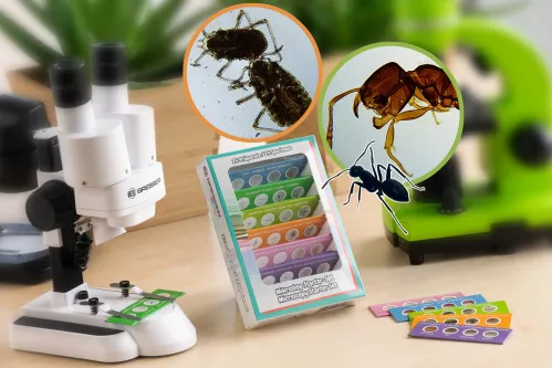 snímek pokusná sada Bresser Junior mikroskopická startovací sada,  2