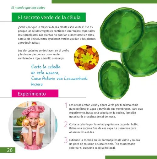obrázek mikroskop se vzdělávací publikací Levenhuk Discovery Micro,  7