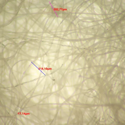 snímek stereomikroskop MAGUS Stereo 9T,  20