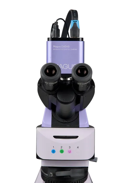 fotografie fluorescenční digitální mikroskop MAGUS Lum D460L LCD,  11
