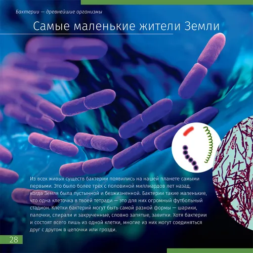 fotografie neviditelný svět. Vzdělávací publikace,  5