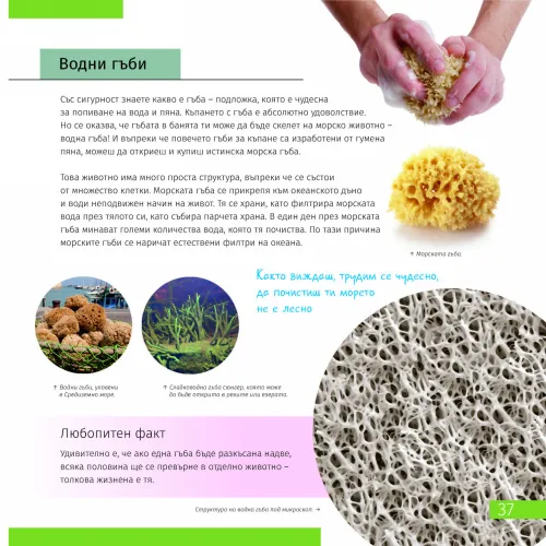 fotografie neviditelný svět. Vzdělávací publikace,  7