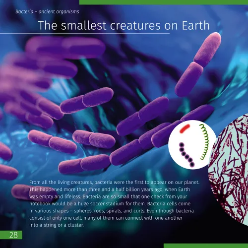 obrázek vesmír. Mikrosvět (dvousvazková edice). Pevná vazba,  9