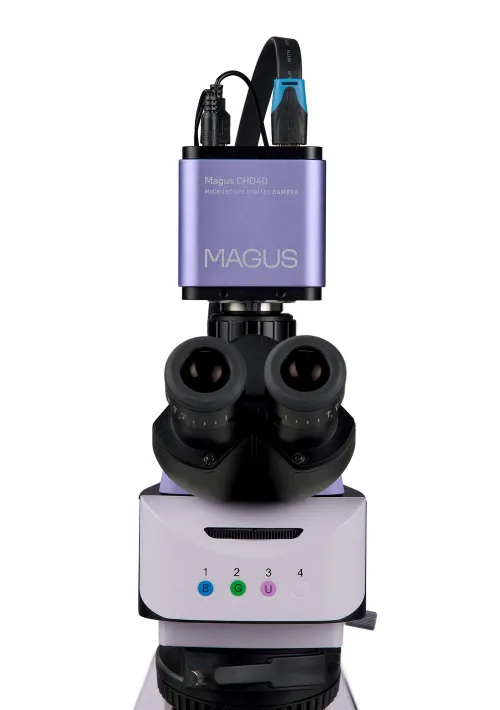 fotografie fluorescenční digitální mikroskop MAGUS Lum D460L LCD,  12