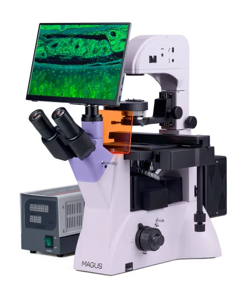 fotografie fluorescenční inverzní digitální mikroskop MAGUS Lum VD500 LCD,  3
