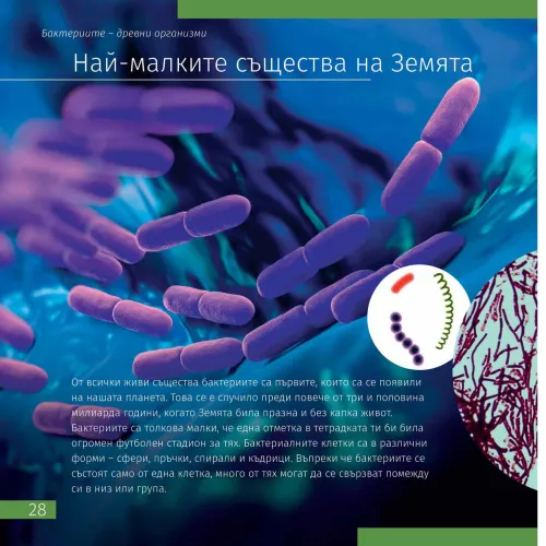 fotografie neviditelný svět. Vzdělávací publikace,  5