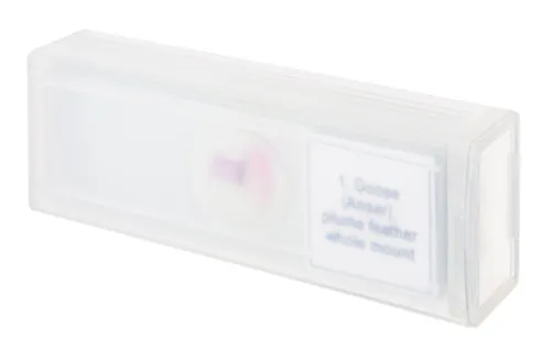 obrázek sada mikropreparátů Levenhuk Discovery Prof DPS 5. „Ptáci“,  4