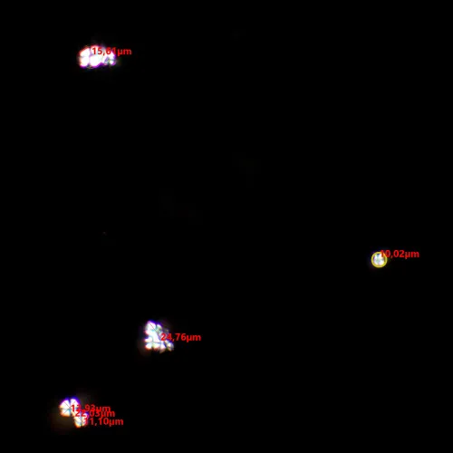 obrázek sada polarizátoru a analyzátoru MAGUS SPD1,  8