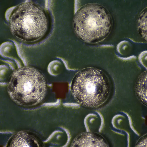 snímek stereomikroskop MAGUS Stereo 9T,  19