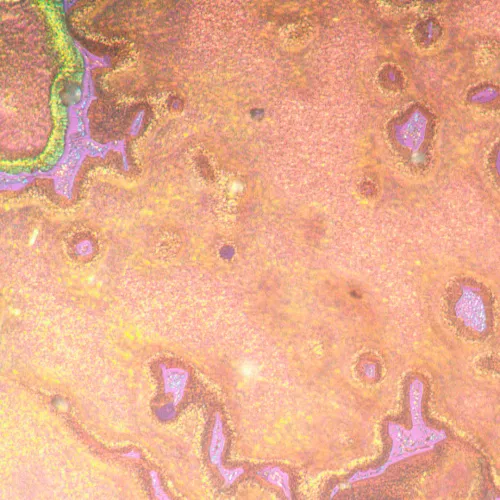 obrázek metalurgický inverzní mikroskop MAGUS Metal V790 DIC,  22