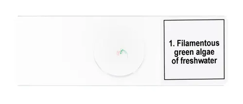 fotografie sada mikropreparátů Levenhuk Discovery Prof DPS 5. „Biologie“,  7