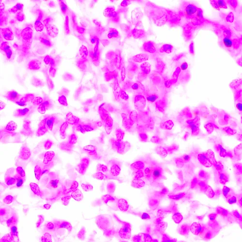 obrázek biologický mikroskop MAGUS Bio 270T,  24