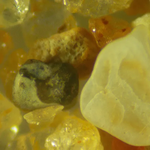 obrázek digitální stereomikroskop MAGUS Stereo D9T,  25