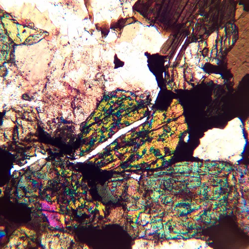 fotografie polarizační mikroskop MAGUS Pol 890,  24