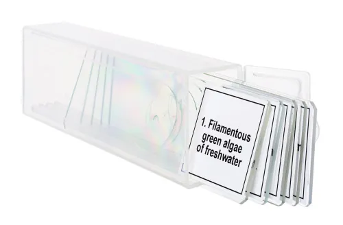 fotografie sada mikropreparátů Levenhuk Discovery Prof DPS 5. „Biologie“,  5