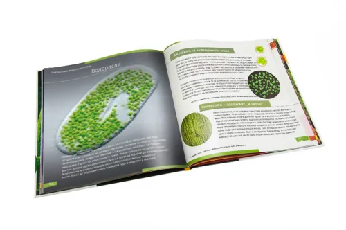 foto neviditelný svět. Vzdělávací publikace. Pevná vazba,  9