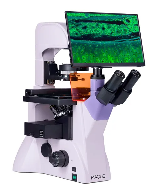 snímek fluorescenční inverzní digitální mikroskop MAGUS Lum VD500L LCD,  4
