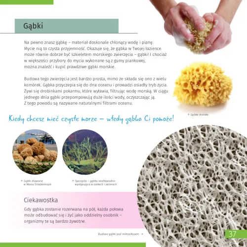 foto neviditelný svět. Vzdělávací publikace. Pevná vazba,  11