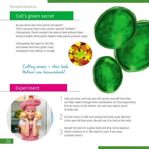 obrázek mikroskop Levenhuk Discovery Pico,  7