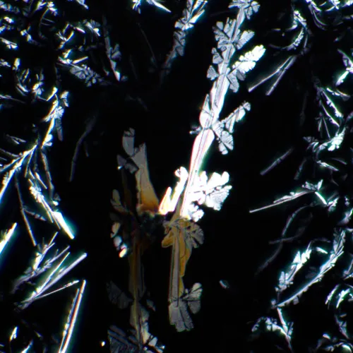 obrázek sada polarizátoru a analyzátoru MAGUS SPD1,  7