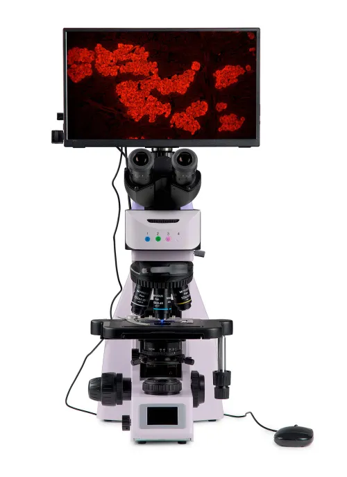 fotografie fluorescenční digitální mikroskop MAGUS Lum D460L LCD,  9