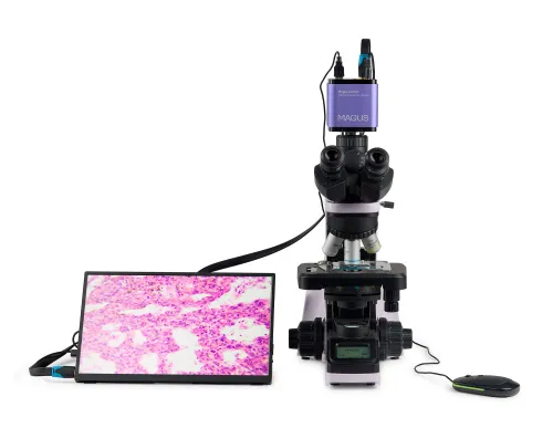 foto biologický digitální mikroskop MAGUS Bio D240T LCD,  5