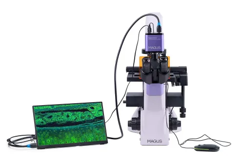 snímek fluorescenční inverzní digitální mikroskop MAGUS Lum VD500L LCD,  6