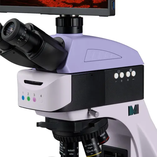 fotografie fluorescenční digitální mikroskop MAGUS Lum D460L LCD,  13