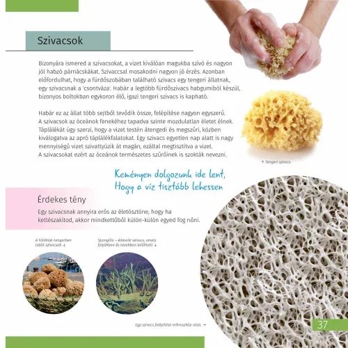 fotografie vesmír. Mikrosvět. Vzdělávací publikace, 2 svazky,  8