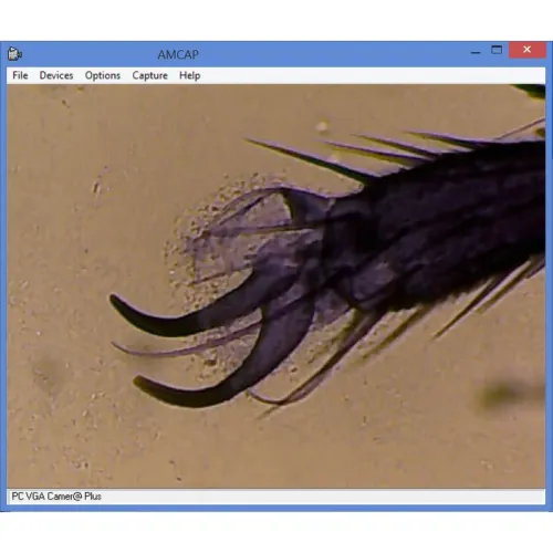 obrázek mikroskop Omegon MonoView, MicroStar, achromat, 1280x, LED,  4