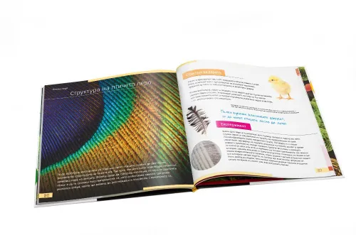 foto neviditelný svět. Vzdělávací publikace. Pevná vazba,  10